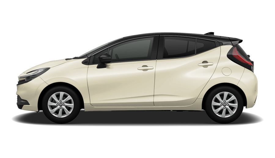 ブラックマイカ〈209〉×クリアベージュメタリック〈4Y3〉［M65］サイド