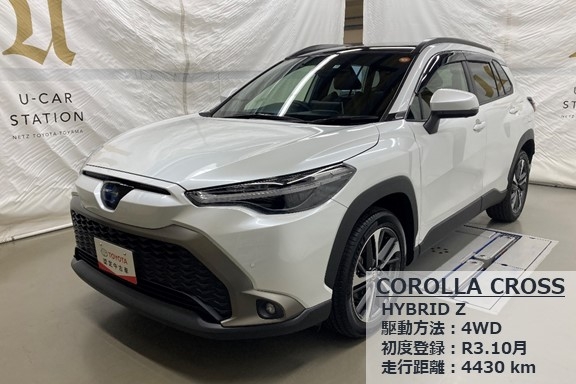 ucarfair30_coro_2