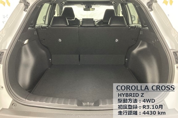 ucarfair30_coro_10