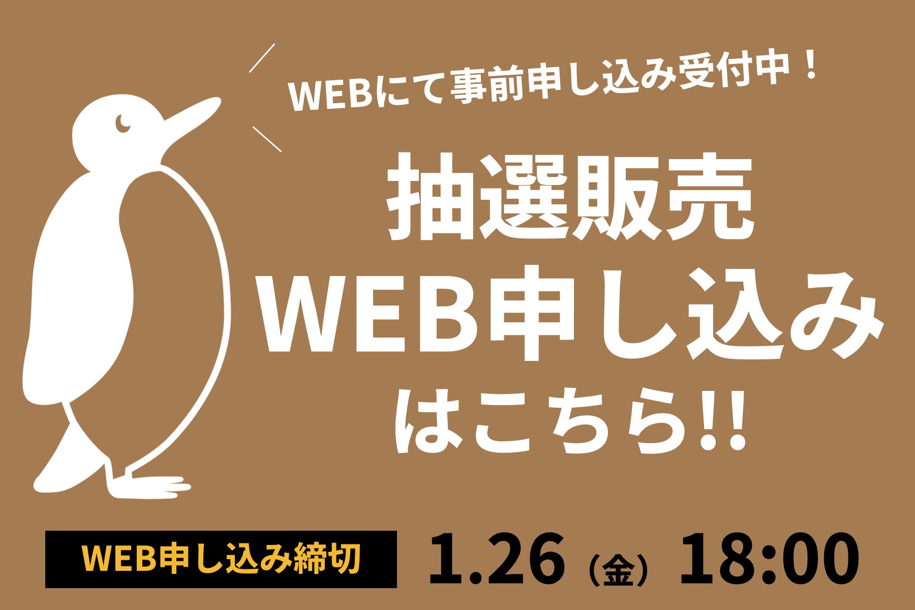 トヨタ認定中古車フェア2024_1日目抽選販売車 | ネッツトヨタ富山(株)